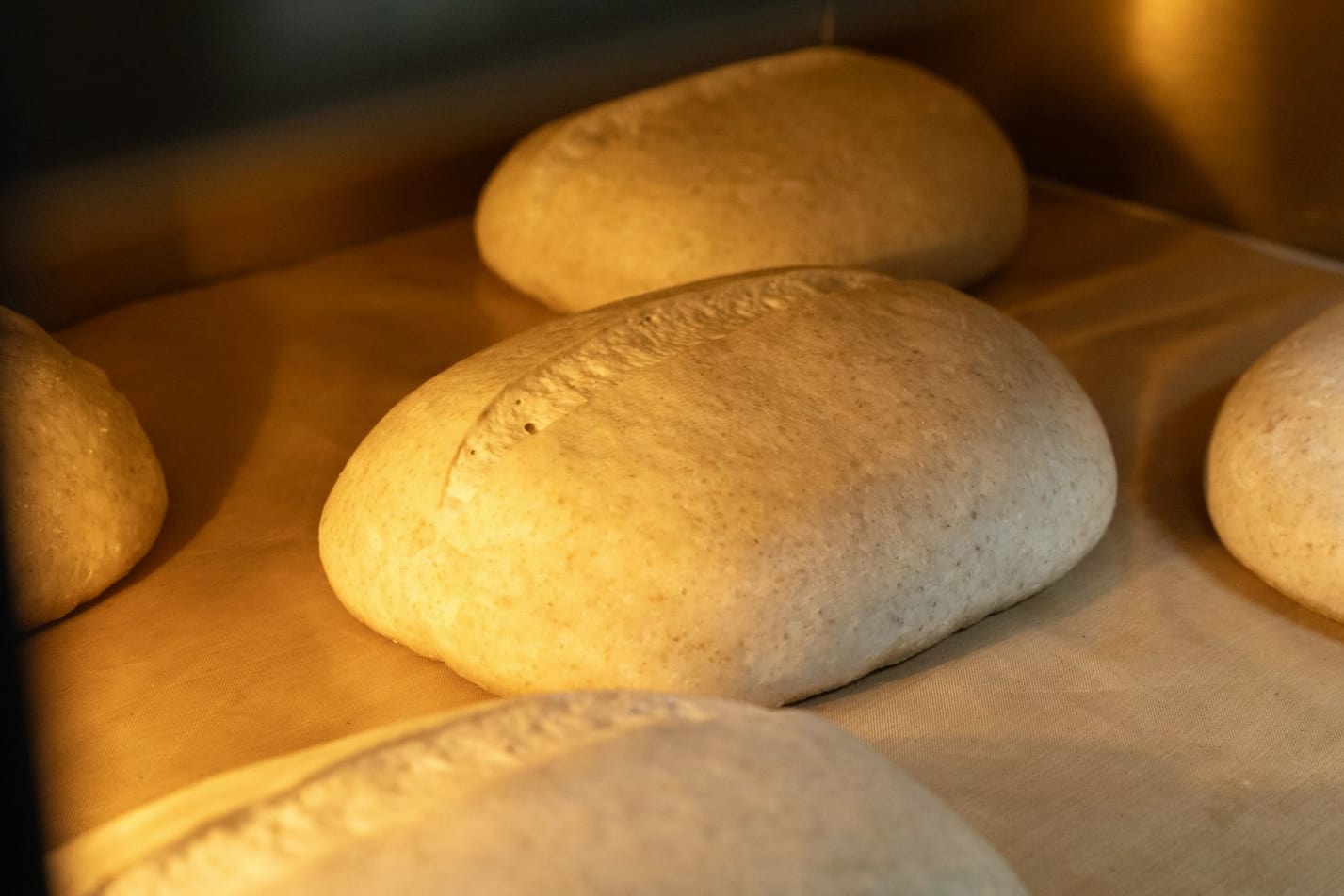 Massa de pão sendo assada no forno da padaria