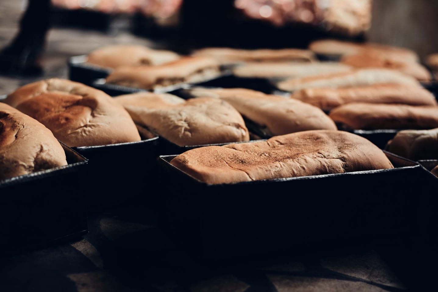 Pães frescos assados dispostos em padaria